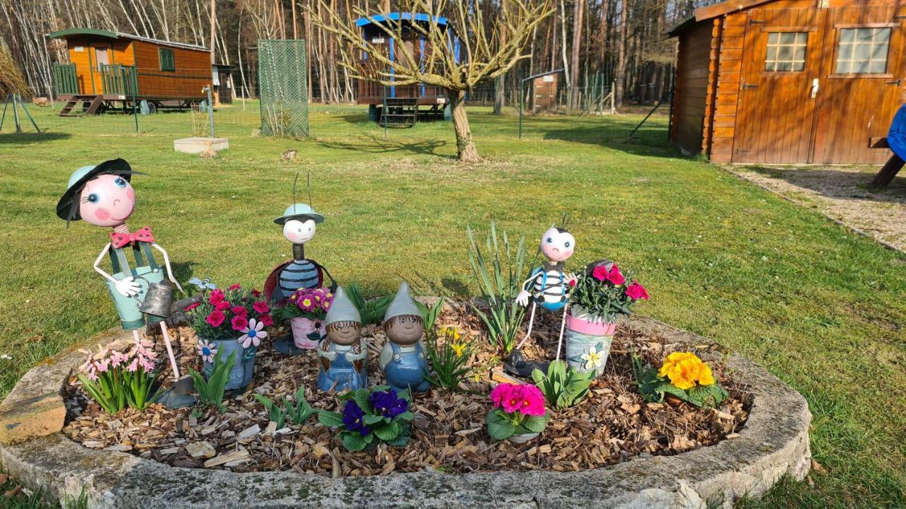 Le Chalet Des Pins 호텔 Rougeou 외부 사진