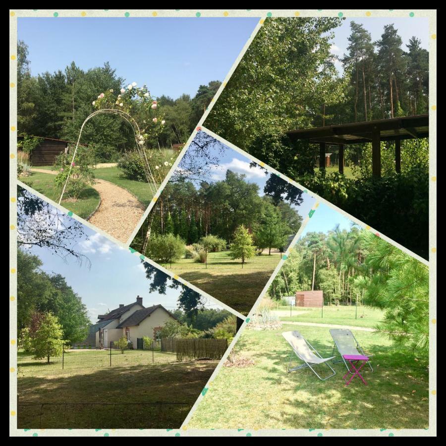 Le Chalet Des Pins 호텔 Rougeou 외부 사진