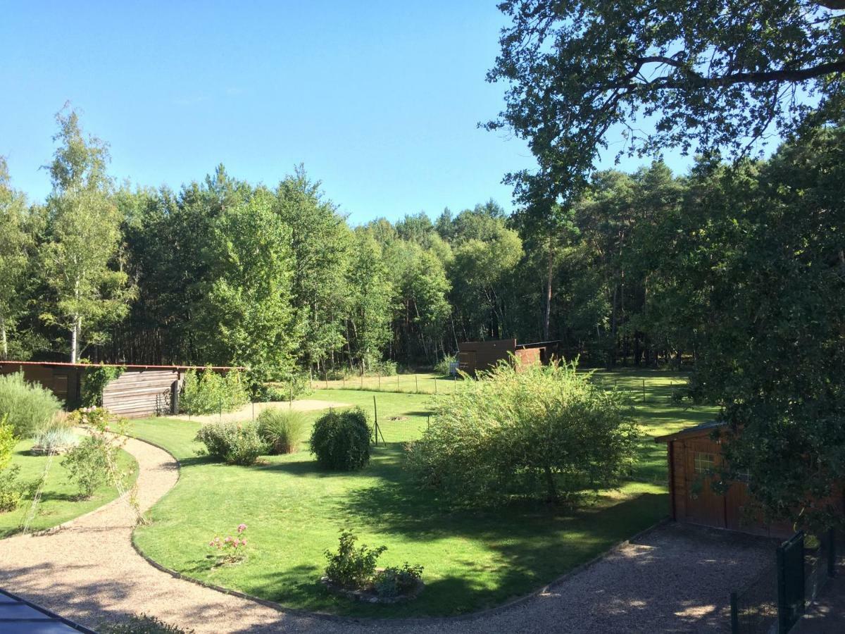 Le Chalet Des Pins 호텔 Rougeou 외부 사진